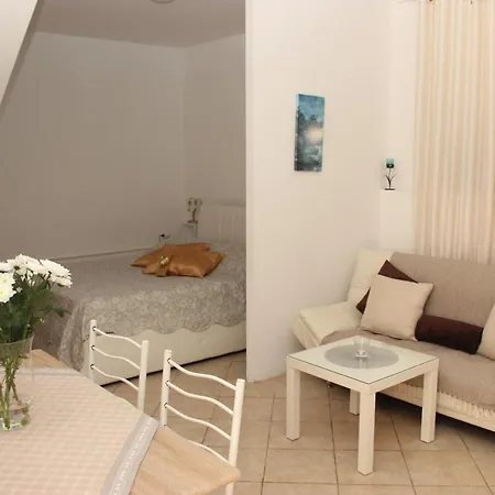 Apartment Studio A&a *
