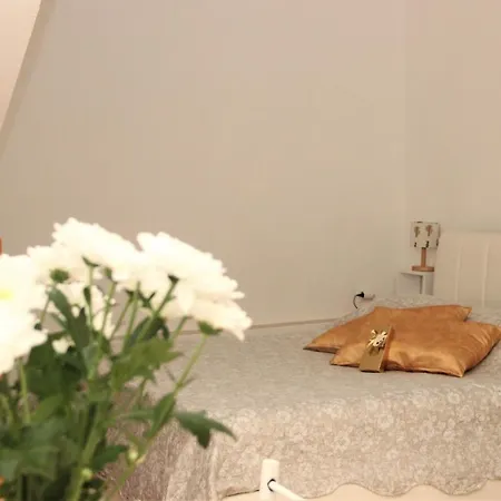 Apartment Studio A&a *